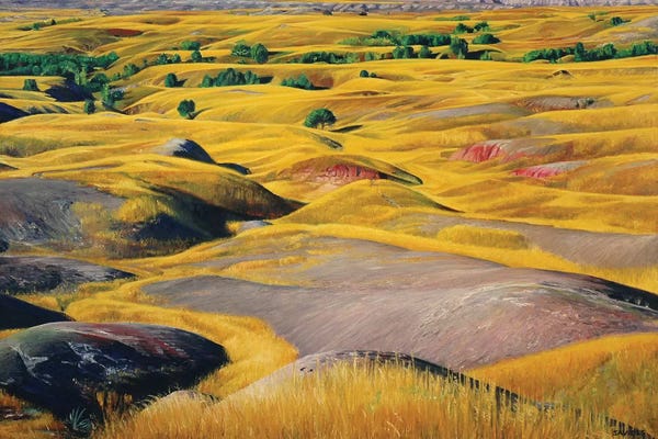 South Dakota: Badlands Prairie by Nick Savides