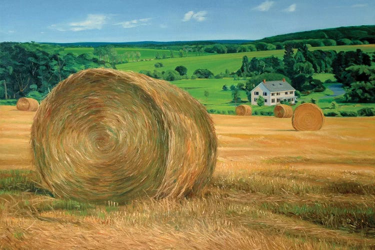 Bales In The Field