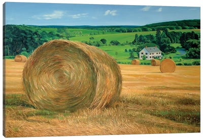 Bales In The Field Canvas Art Print - Nick Savides