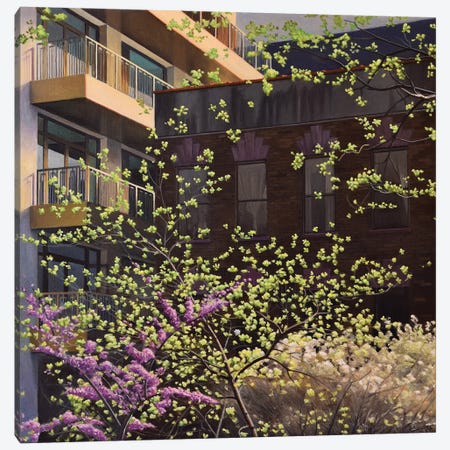 High Line Emerging Spring Canvas Print #SVD138} by Nick Savides Canvas Art Print