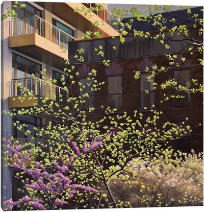 High Line Emerging Spring Canvas Art Print - Nick Savides