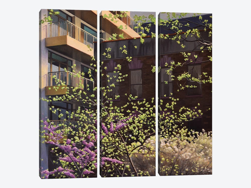 High Line Emerging Spring by Nick Savides 3-piece Canvas Wall Art