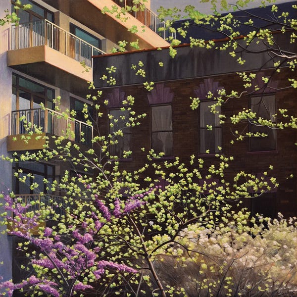 Nick Savides: High Line Emerging Spring by Nick Savides