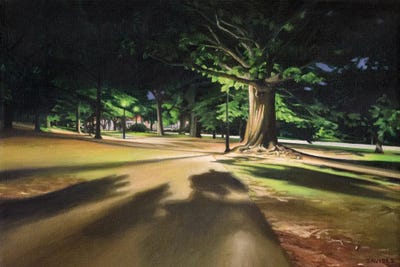 Night Shadows by Nick Savides art print