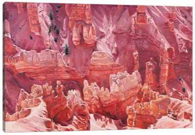 Cedar Breaks Canvas Art Print - Canyon Art