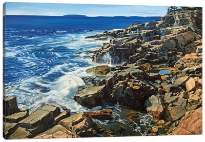 Cliffs And Crashing Waves Canvas Art Print - Nick Savides