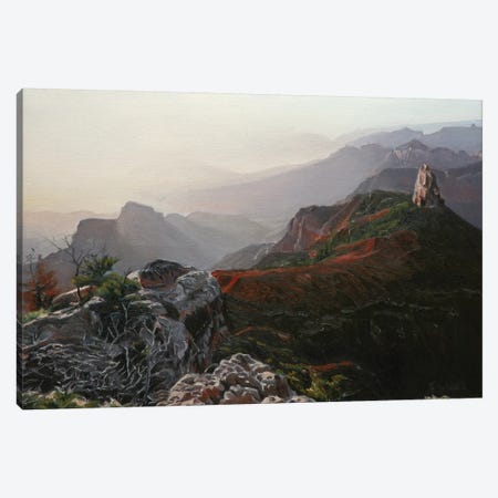 Grand Canyon At Sunrise II Canvas Print #SVD28} by Nick Savides Canvas Wall Art