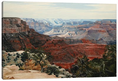 Grand Canyon In Midday Sun Canvas Art Print - Artistic Travels