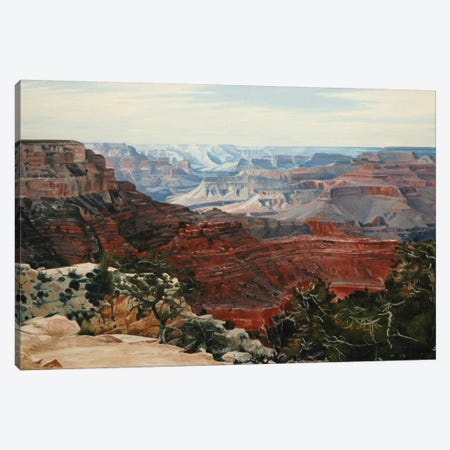 Grand Canyon In Midday Sun Canvas Print #SVD30} by Nick Savides Art Print
