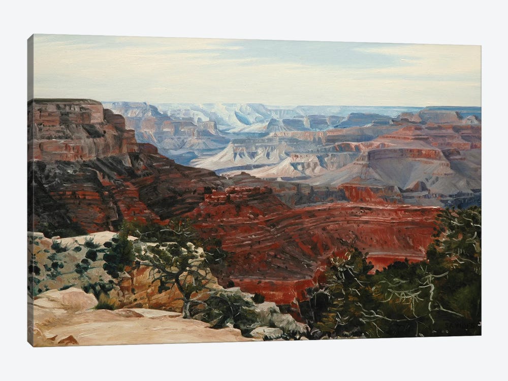Grand Canyon In Midday Sun by Nick Savides 1-piece Canvas Wall Art