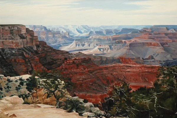 Artistic Travels: Grand Canyon In Midday Sun by Nick Savides