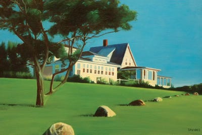 House Bathed In Sunlight by Nick Savides canvas print