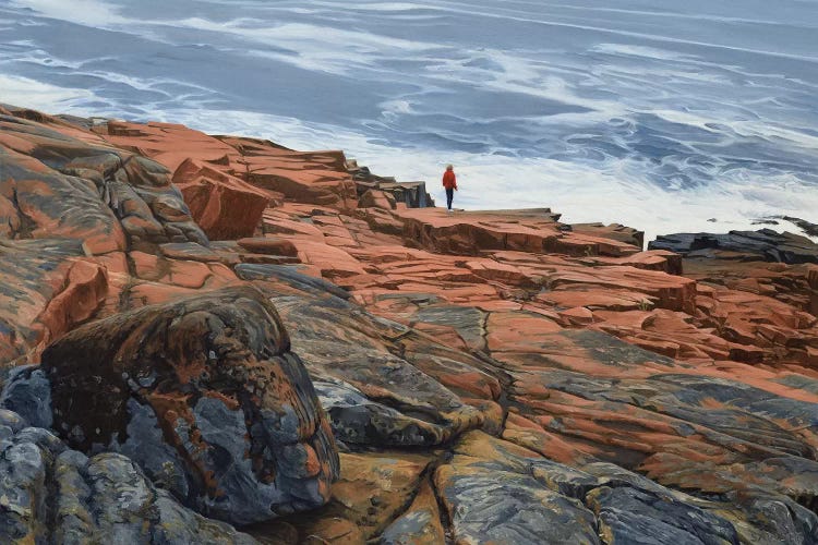Maine Coast - On The Edge by Nick Savides canvas print