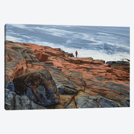 Maine Coast - On The Edge Canvas Print #SVD43} by Nick Savides Canvas Wall Art