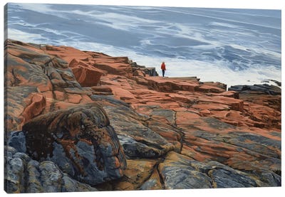 Maine Coast - On The Edge Canvas Art Print - Nick Savides