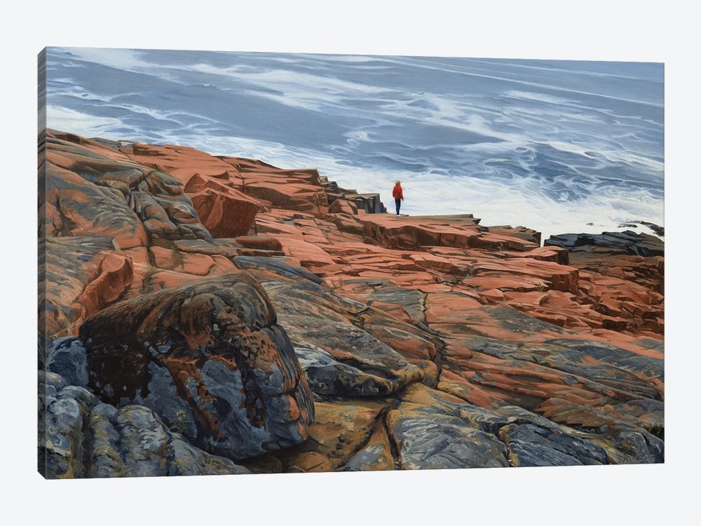 Maine Coast - On The Edge by Nick Savides 1-piece Canvas Wall Art