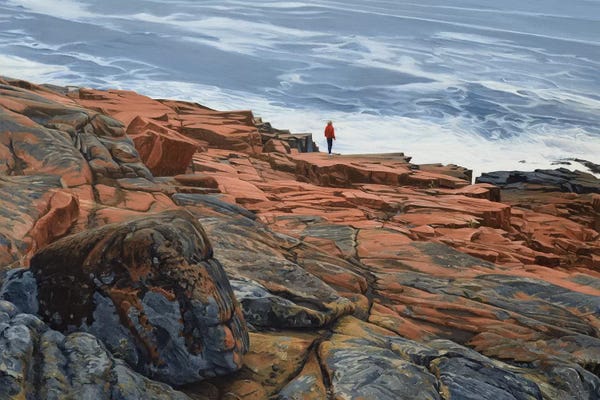 Maine: Maine Coast - On The Edge by Nick Savides