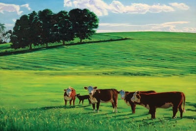 Meet The Neighbors by Nick Savides framed canvas print