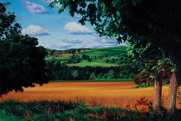 Nick Savides: Millbrook - Moving Shadows by Nick Savides