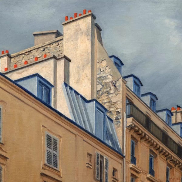 Artful Architecture: Paris Rooftops II by Nick Savides