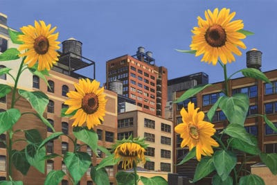 Rooftop Garden by Nick Savides canvas print