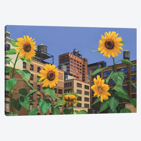 Rooftop Garden Canvas Print #SVD65} by Nick Savides Canvas Print