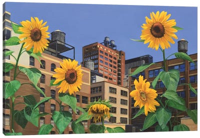 Rooftop Garden Canvas Art Print - Nick Savides