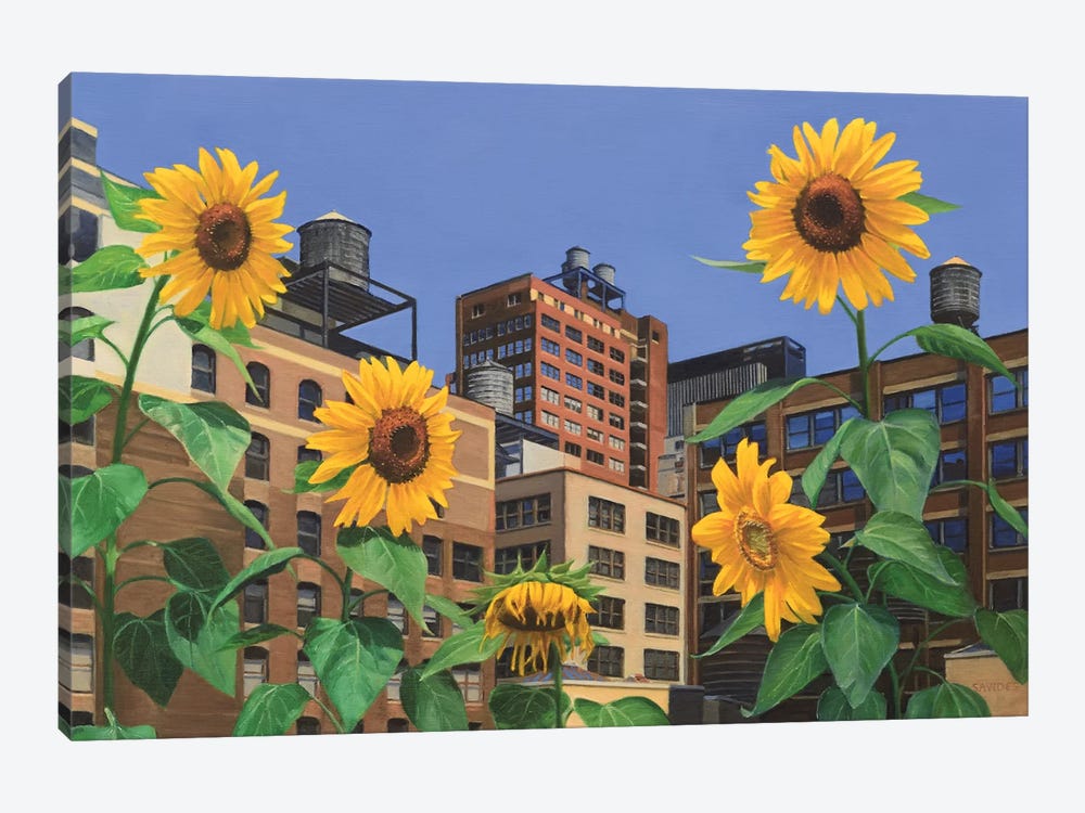 Rooftop Garden by Nick Savides 1-piece Canvas Art