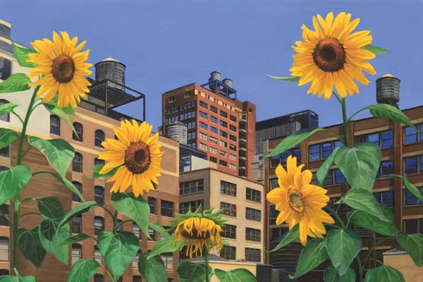 Nick Savides: Rooftop Garden by Nick Savides