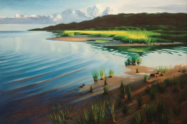 Shore And Setting Sun by Nick Savides wall art