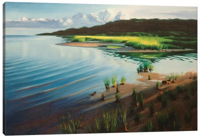 Shore And Setting Sun Canvas Art Print - Nick Savides