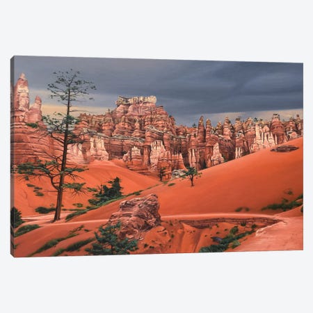 Storm In Bryce Canyon Canvas Print #SVD70} by Nick Savides Canvas Art Print