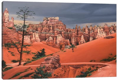 Storm In Bryce Canyon Canvas Art Print - Nick Savides