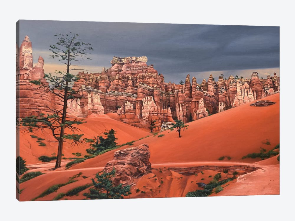 Storm In Bryce Canyon by Nick Savides 1-piece Canvas Artwork