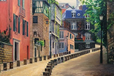 The Rose House by Nick Savides canvas print