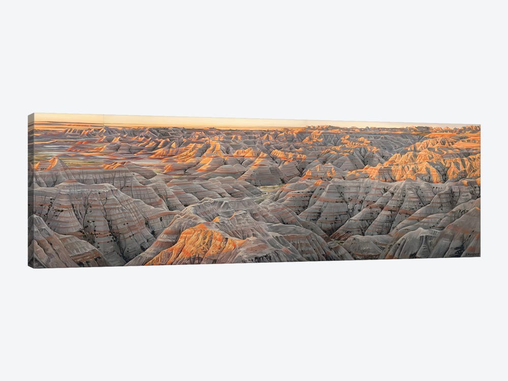 Badlands (The Wall) At Sunrise by Nick Savides 1-piece Canvas Art