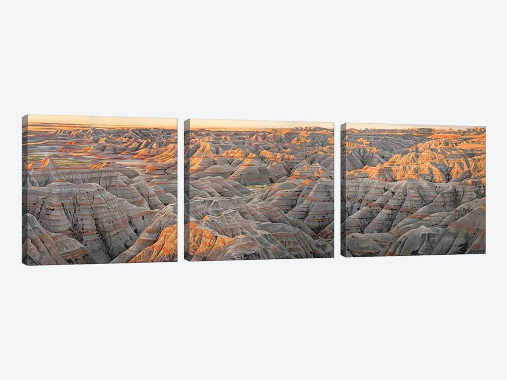 Badlands (The Wall) At Sunrise by Nick Savides 3-piece Canvas Artwork