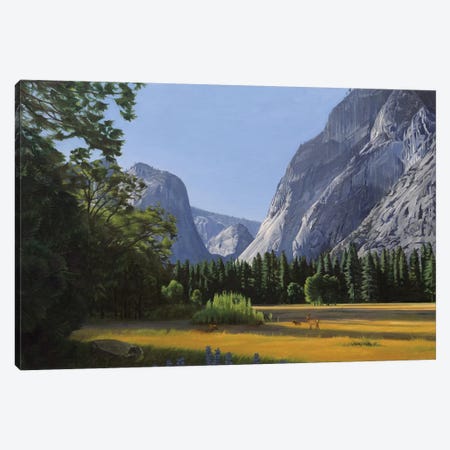 Yosemite Valley Canvas Print #SVD95} by Nick Savides Canvas Wall Art