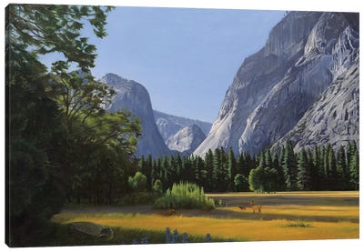 Yosemite Valley Canvas Art Print - Yosemite National Park Art