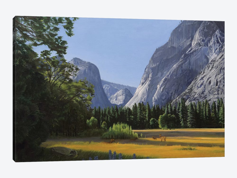 Yosemite Valley by Nick Savides 1-piece Canvas Art Print