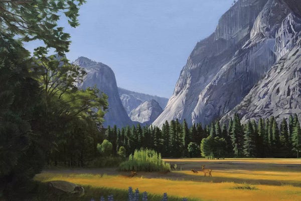 Yosemite National Park: Yosemite Valley by Nick Savides