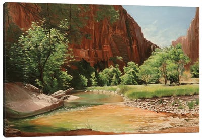 Zion - Along The North Fork Virgin River Canvas Art Print - Canyon Art
