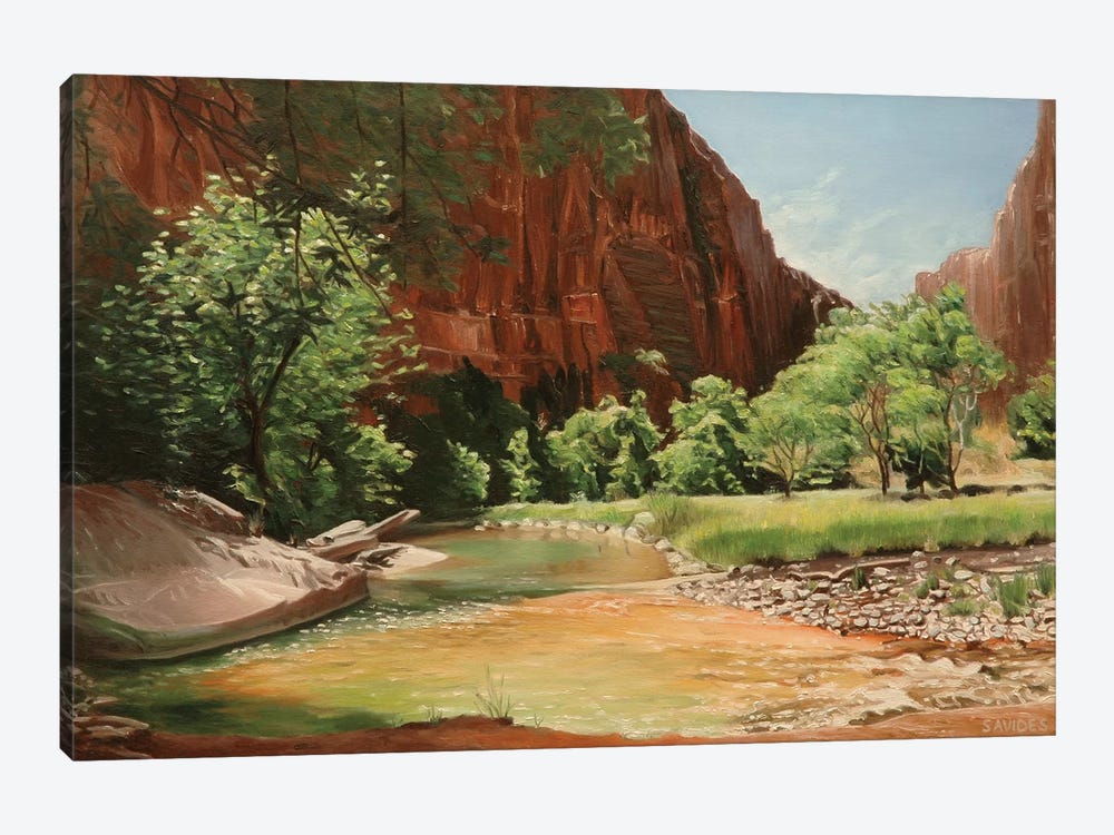 Zion - Along The North Fork Virgin River by Nick Savides 1-piece Canvas Artwork