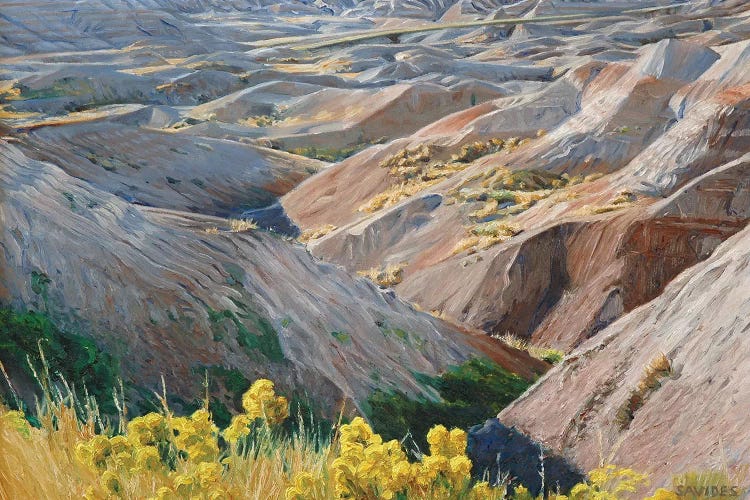 Badlands At Sunset by Nick Savides wall art