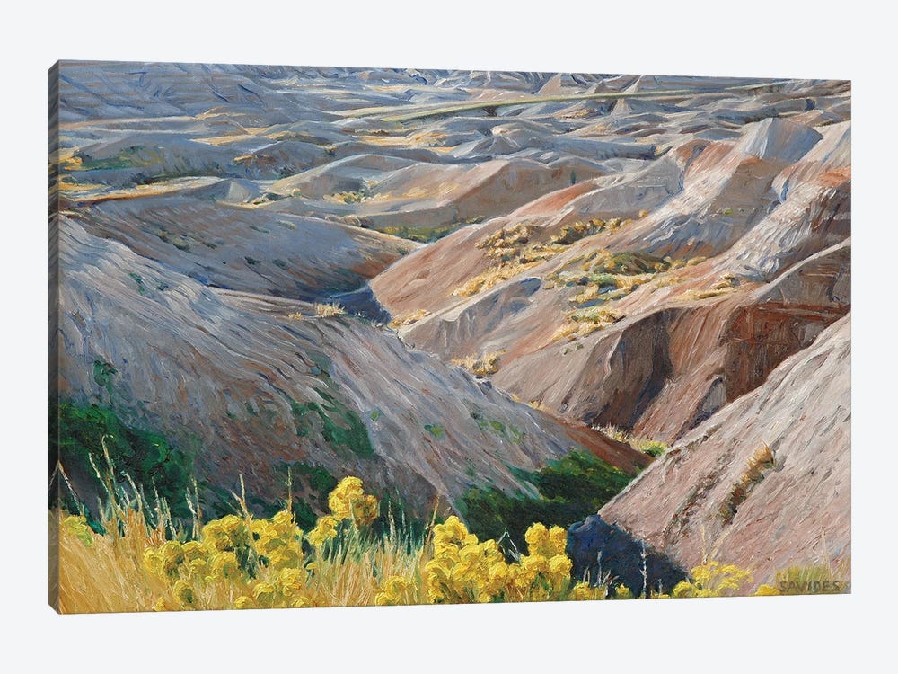 Badlands At Sunset by Nick Savides 1-piece Canvas Print
