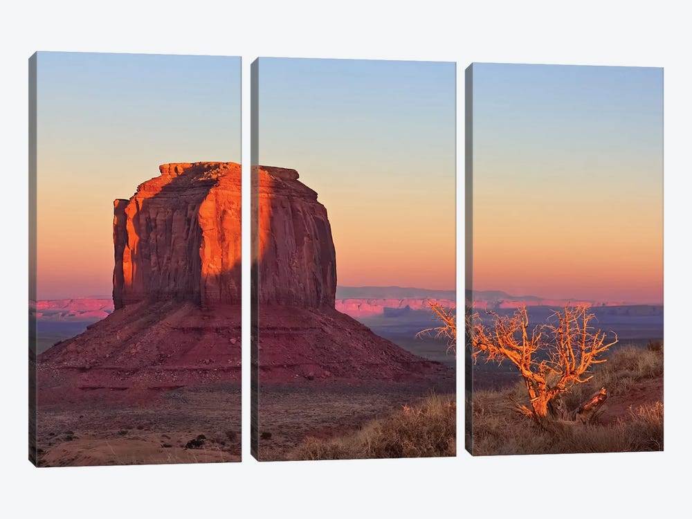 Morning in the Desert by Steve Toole 3-piece Canvas Print