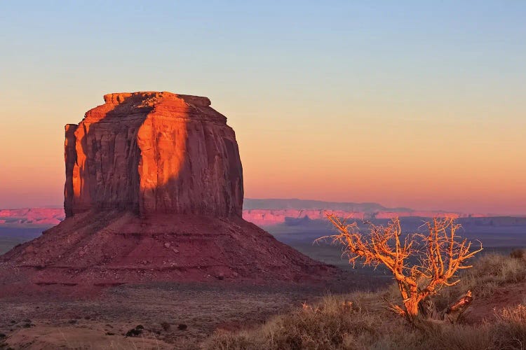 Morning in the Desert