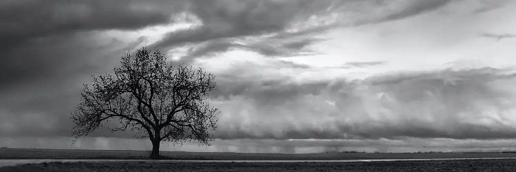 A Front Rolls In by Steve Toole wall art