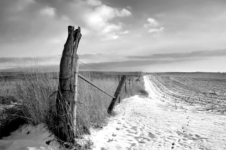 Fenceline Tracks