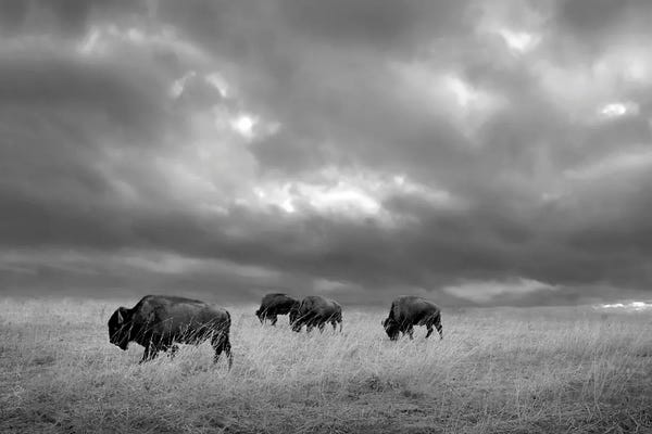Steve Toole: Under An Autumn Sky by Steve Toole